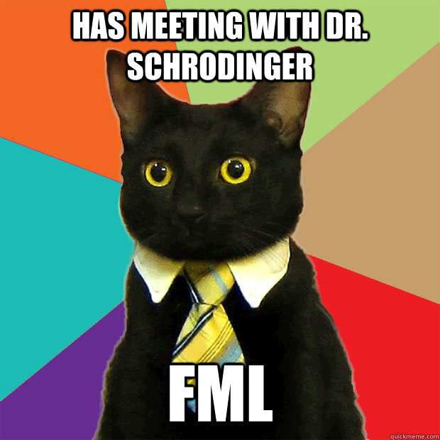 Has meeting with Dr. Schrodinger FML  Business Cat