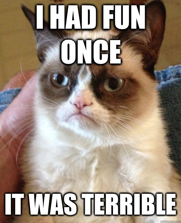I had fun once It was terrible  Grumpy Cat