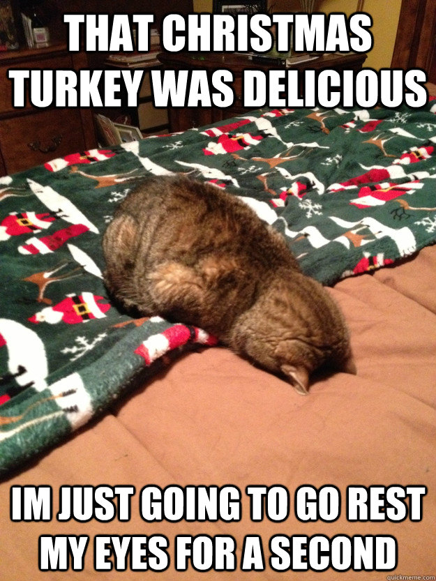 That christmas turkey was delicious  Im just going to go rest my eyes for a second - That christmas turkey was delicious  Im just going to go rest my eyes for a second  Tired Cat is tired