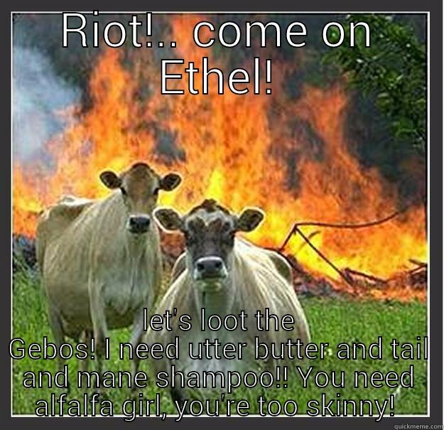 let's start a riot - RIOT!.. COME ON ETHEL! LET'S LOOT THE GEBOS! I NEED UTTER BUTTER AND TAIL AND MANE SHAMPOO!! YOU NEED ALFALFA GIRL, YOU'RE TOO SKINNY!  Evil cows