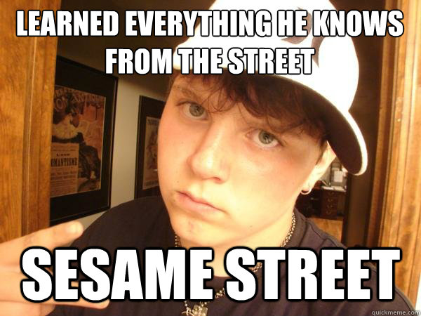 learned everything he knows from the street
 sesame street  Suburban Gangster