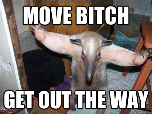 move bitch get out the way  I got this