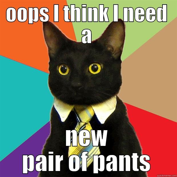 whats up cat - OOPS I THINK I NEED A NEW PAIR OF PANTS Business Cat