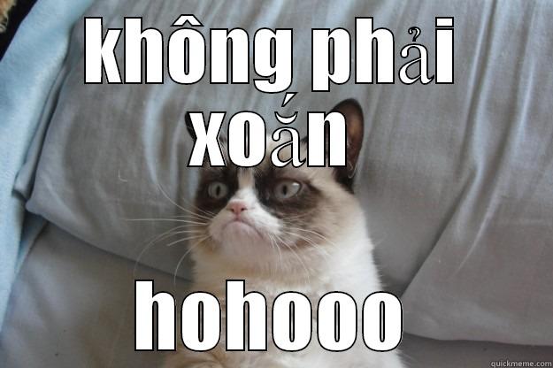KHÔNG PHẢI XOẮN HOHOOO Grumpy Cat