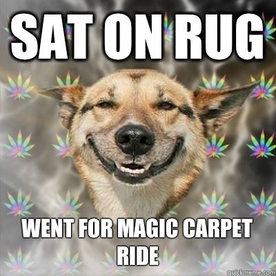 Sat on Rug Went for magic carpet ride  Stoner Dog