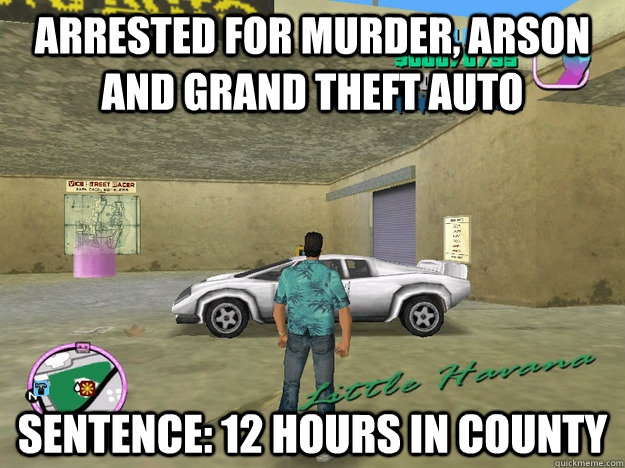 arrested for murder, arson and grand theft auto  sentence: 12 hours in county - arrested for murder, arson and grand theft auto  sentence: 12 hours in county  GTA LOGIC