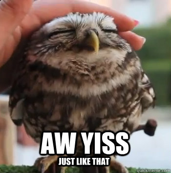 just like that aw yiss - just like that aw yiss  cute owl