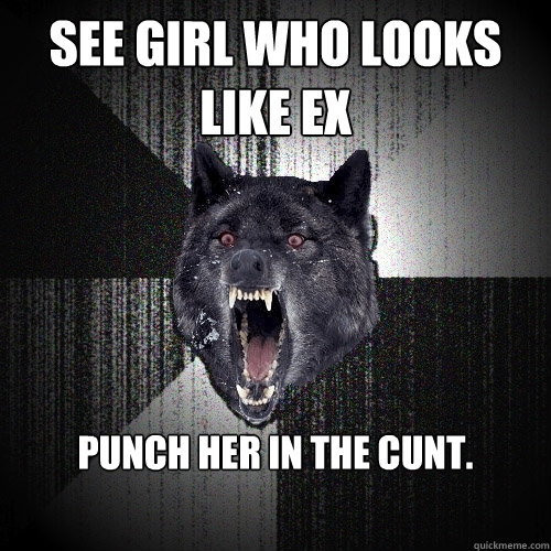 See girl who looks like ex Punch her in the cunt.
  Insanity Wolf