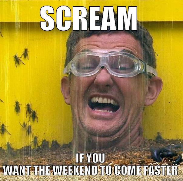 HEEEEEELP BUG - SCREAM IF YOU WANT THE WEEKEND TO COME FASTER Misc