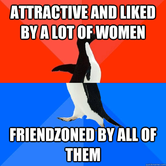 attractive and liked by a lot of women friendzoned by all of them  Socially Awesome Awkward Penguin