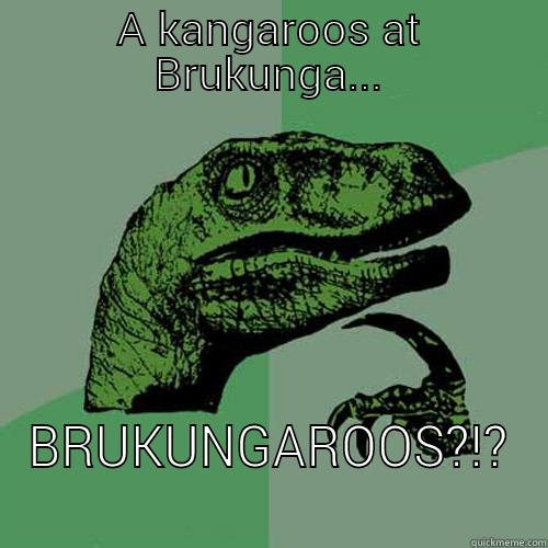A KANGAROOS AT BRUKUNGA... BRUKUNGAROOS?!? Philosoraptor