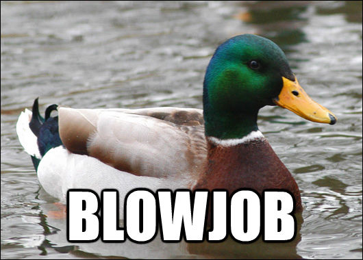  BLOWJOB  Actual Advice Mallard