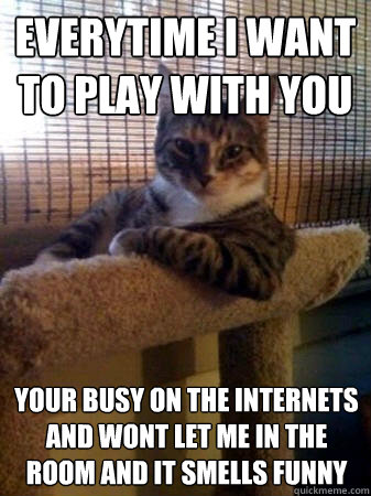 everytime i want to play with you Your busy on the internets and wont let me in the room and it smells funny  The Most Interesting Cat in the World