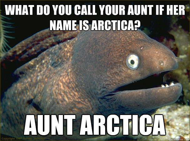 What do you call your Aunt if her name is Arctica? Aunt arctica - What do you call your Aunt if her name is Arctica? Aunt arctica  Bad Joke Eel