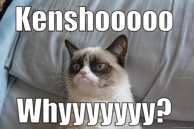 Search Advertising - KENSHOOOOO WHYYYYYYY? Grumpy Cat