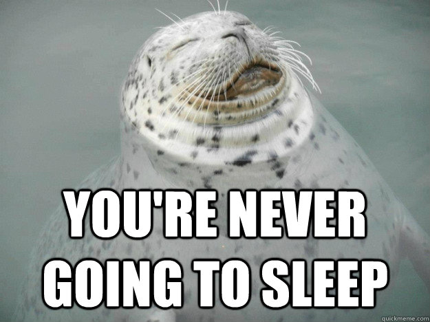 you're never going to sleep  Zen Seal