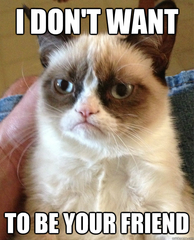 I don't want to be your friend  Grumpy Cat