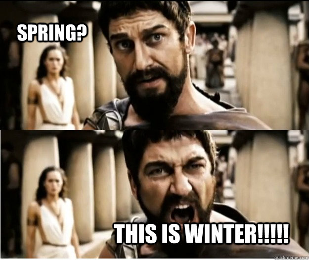 Spring? this is winter!!!!!  