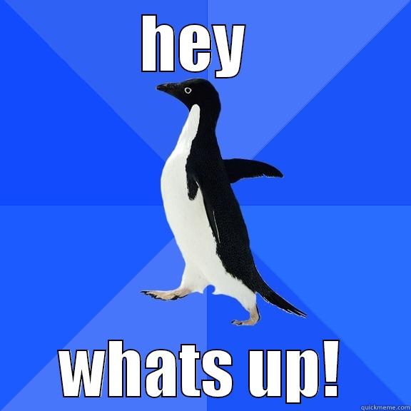 HEY  WHATS UP! Socially Awkward Penguin