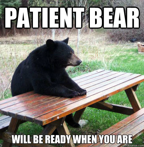 Patient bear will be ready when you are  waiting bear