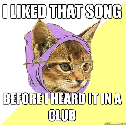 I liked that song before I heard it in a club  Hipster Kitty
