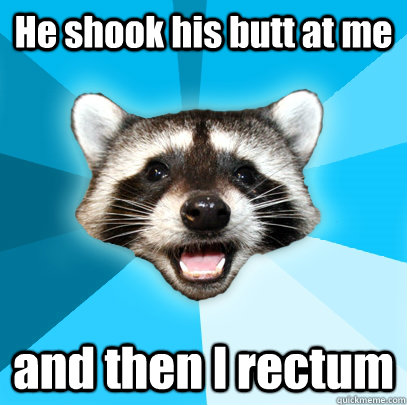 He shook his butt at me and then I rectum  Lame Pun Coon