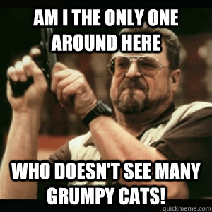 Am i the only one around here who doesn't see many grumpy cats!  Am I The Only One Round Here