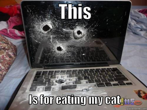                   THIS                                    IS FOR EATING MY CAT             Misc