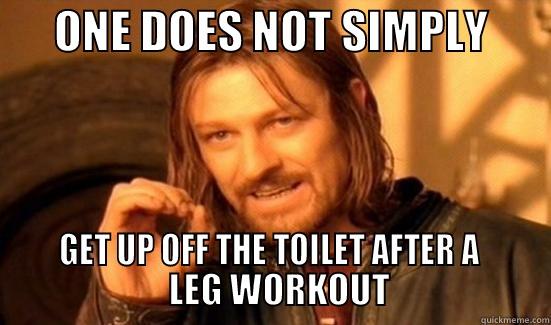       ONE DOES NOT SIMPLY             GET UP OFF THE TOILET AFTER A                               LEG WORKOUT                       Boromir