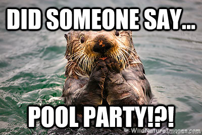Did someone say... POOL PARTY!?!  Did someone say pool party