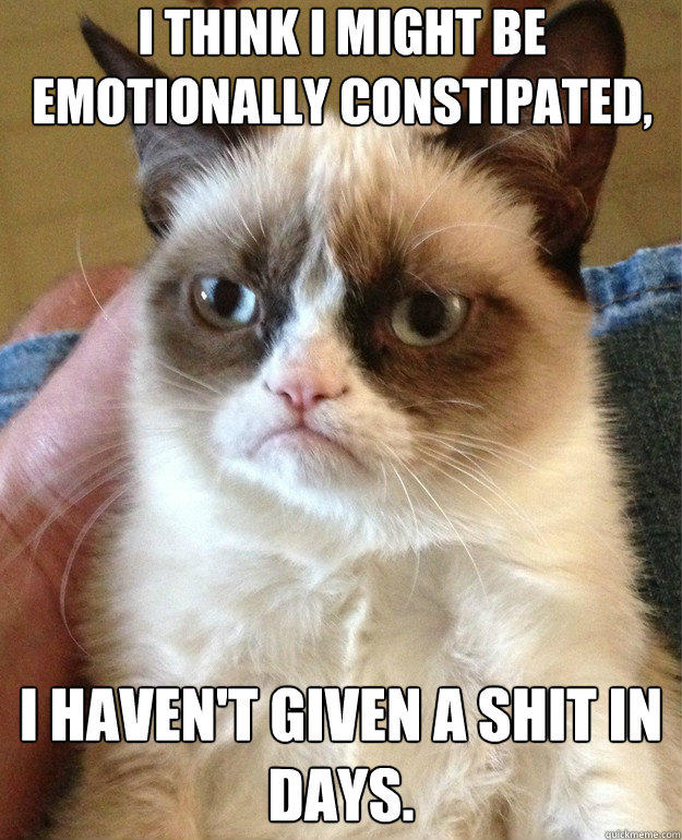 I Think I Might be 
emotionally constipated, I haven't given a shit in days. - I Think I Might be 
emotionally constipated, I haven't given a shit in days.  Grumpy Cat