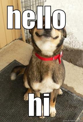 HELLO  HI Good Dog Greg