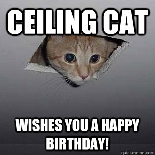 Ceiling cat wishes you a happy birthday! - Ceiling cat wishes you a happy birthday!  Ceiling Cat