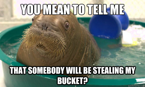 You mean to tell me that somebody will be stealing my bucket? - You mean to tell me that somebody will be stealing my bucket?  Confuesed Walrus