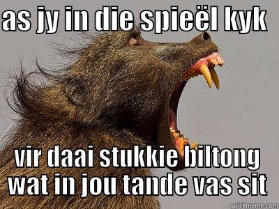 AS JY IN DIE SPIEËL KYK   VIR DAAI STUKKIE BILTONG WAT IN JOU TANDE VAS SIT Misc