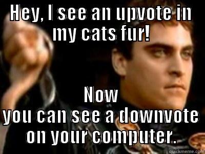 HEY, I SEE AN UPVOTE IN MY CATS FUR! NOW YOU CAN SEE A DOWNVOTE ON YOUR COMPUTER. Downvoting Roman