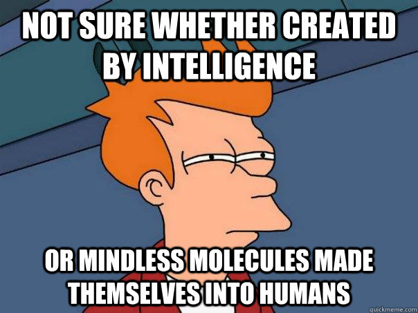 Not sure whether created by intelligence Or mindless molecules made themselves into humans  Futurama Fry