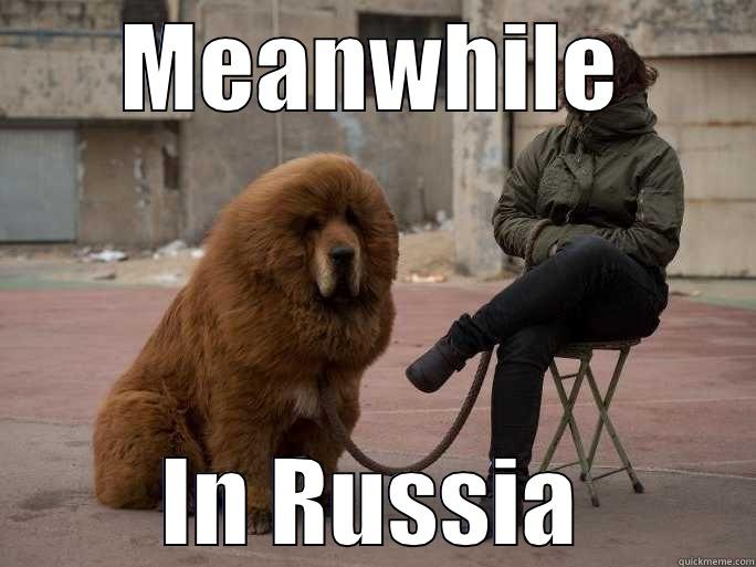 Ruski Doggy - MEANWHILE IN RUSSIA Misc