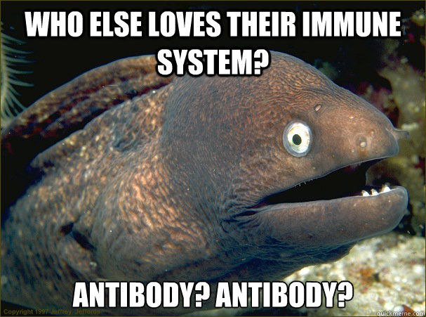 Who else loves their immune system?  Antibody? Antibody?  Bad Joke Eel
