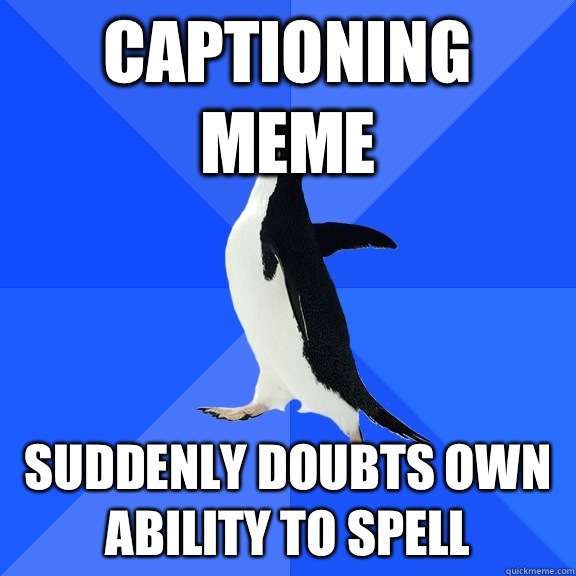 CAPTIONING MEME SUDDENLY DOUBTS OWN ABILITY TO SPELL  Socially Awkward Penguin