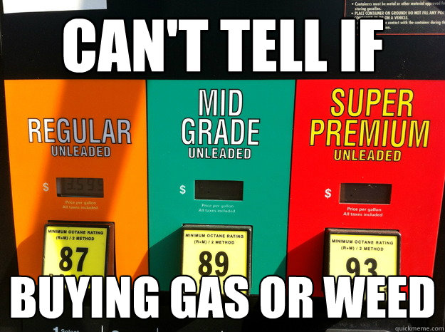 Can't tell if Buying Gas or weed - Can't tell if Buying Gas or weed  Gas Station Fry