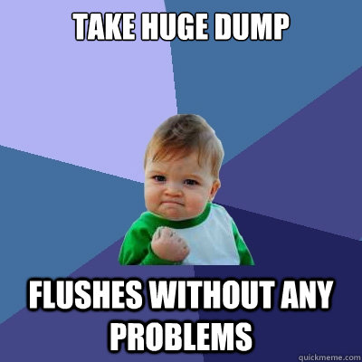 take huge dump flushes without any problems  Success Kid