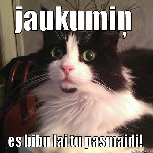 JAUKUMIŅ ES BIBU LAI TU PASMAIDI! Misc