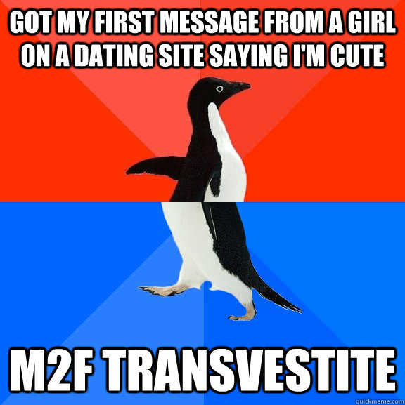 Got my first message from a girl on a dating site saying I'm cute M2F transvestite  Socially Awesome Awkward Penguin