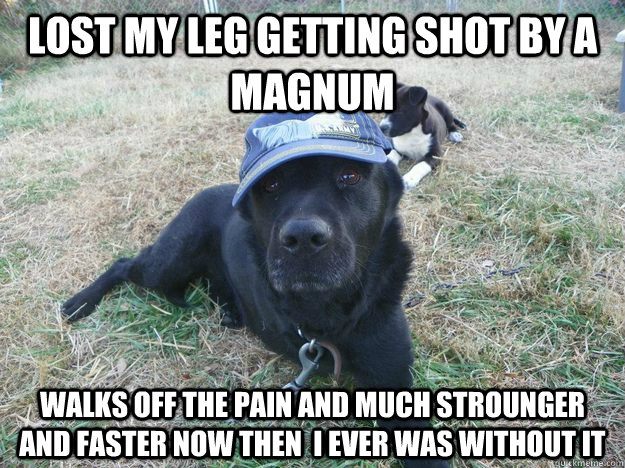 lost my leg getting shot by a magnum  walks off the pain and much strounger and faster now then  i ever was without it - lost my leg getting shot by a magnum  walks off the pain and much strounger and faster now then  i ever was without it  1300 doller dog