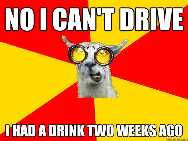 no i can't drive i had a drink two weeks ago  Learner Driver Llama