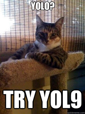 yolo? try yol9  The Most Interesting Cat in the World