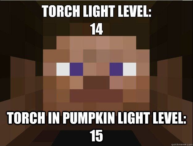 torch light level:
14 torch in pumpkin light level: 15  Minecraft Logic