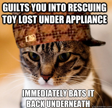 Guilts you into rescuing toy lost under appliance Immediately bats it back underneath - Guilts you into rescuing toy lost under appliance Immediately bats it back underneath  Scumbag Cat