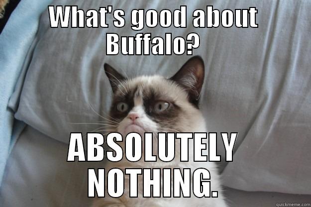 Omar Kelly - WHAT'S GOOD ABOUT BUFFALO? ABSOLUTELY NOTHING. Grumpy Cat